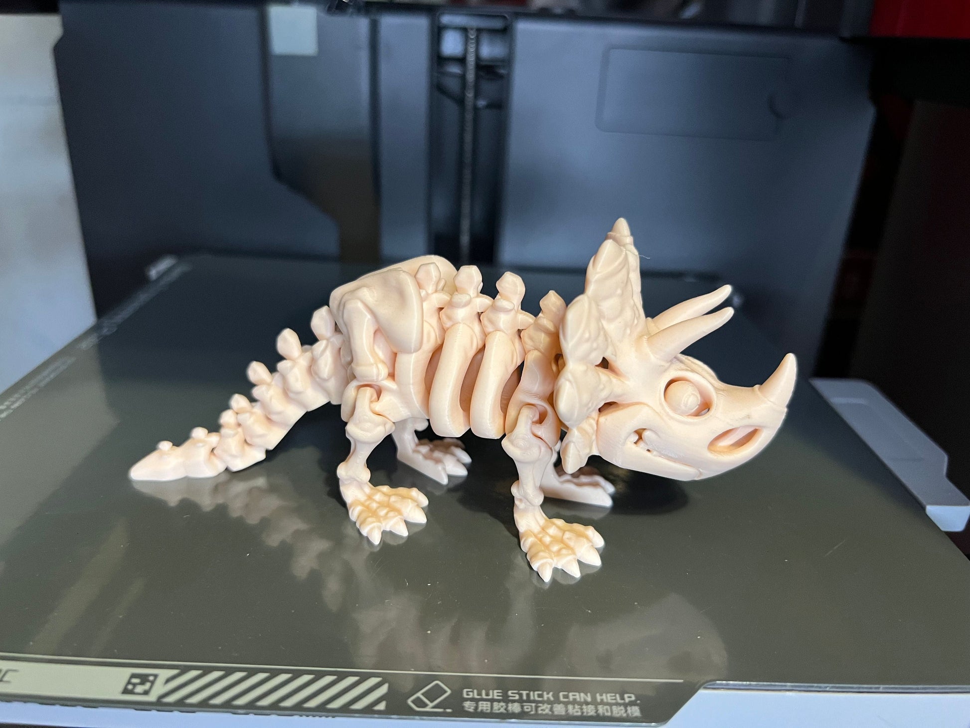 Skeleton Triceritops!